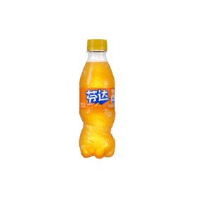 芬达300ml